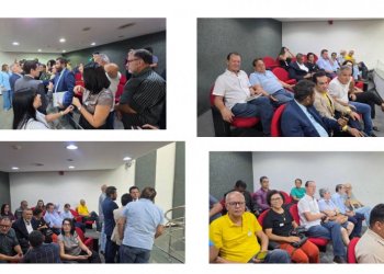 Em mais uma dia de mobilização da AUDIFISCO e do SINDARE, auditores fiscais filiados marcam forte atuação na Assembleia Legislativa do Tocantins